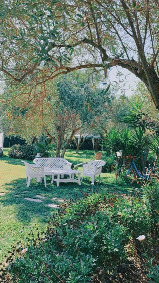 Il Bouganville Oristano Dış mekan fotoğraf